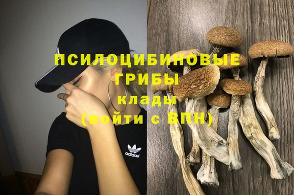 прущие грибы Верхнеуральск