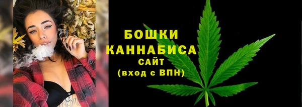 прущие грибы Верхнеуральск