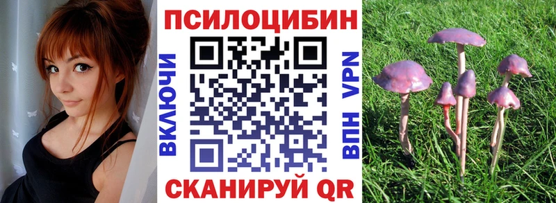 как найти закладки shop состав Псилоцибиновые грибы MAGIC MUSHROOMS Санкт-Петербург